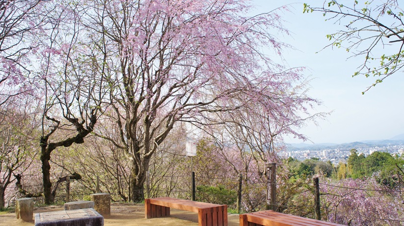 まるえつ tweet media