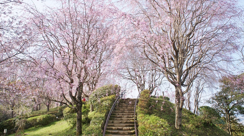 まるえつ tweet media