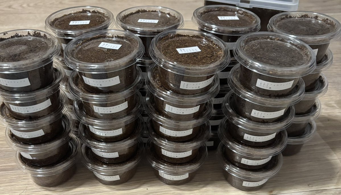 あとらんた@通常運転 tweet media