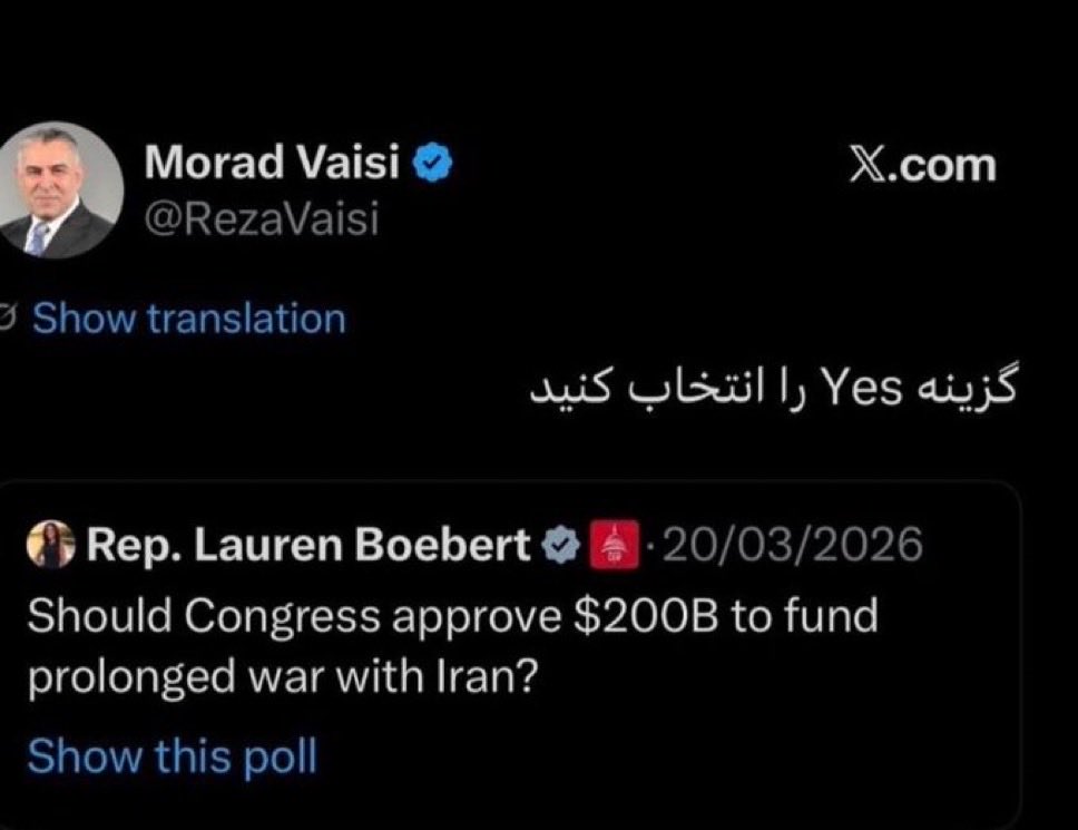 مینی هیولا tweet media