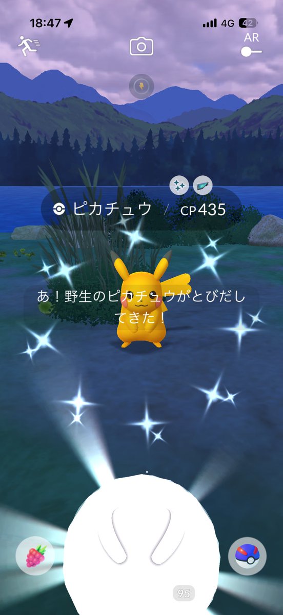 haro_vicke tweet media