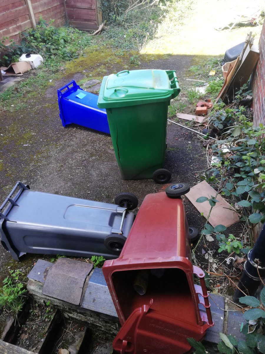 Stereo Surrealist tweet media