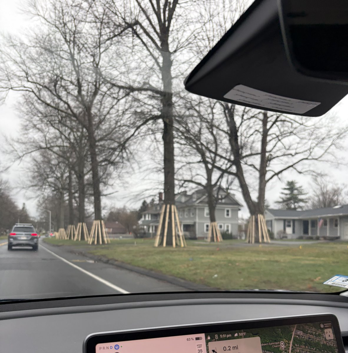 AlphaFox tweet media