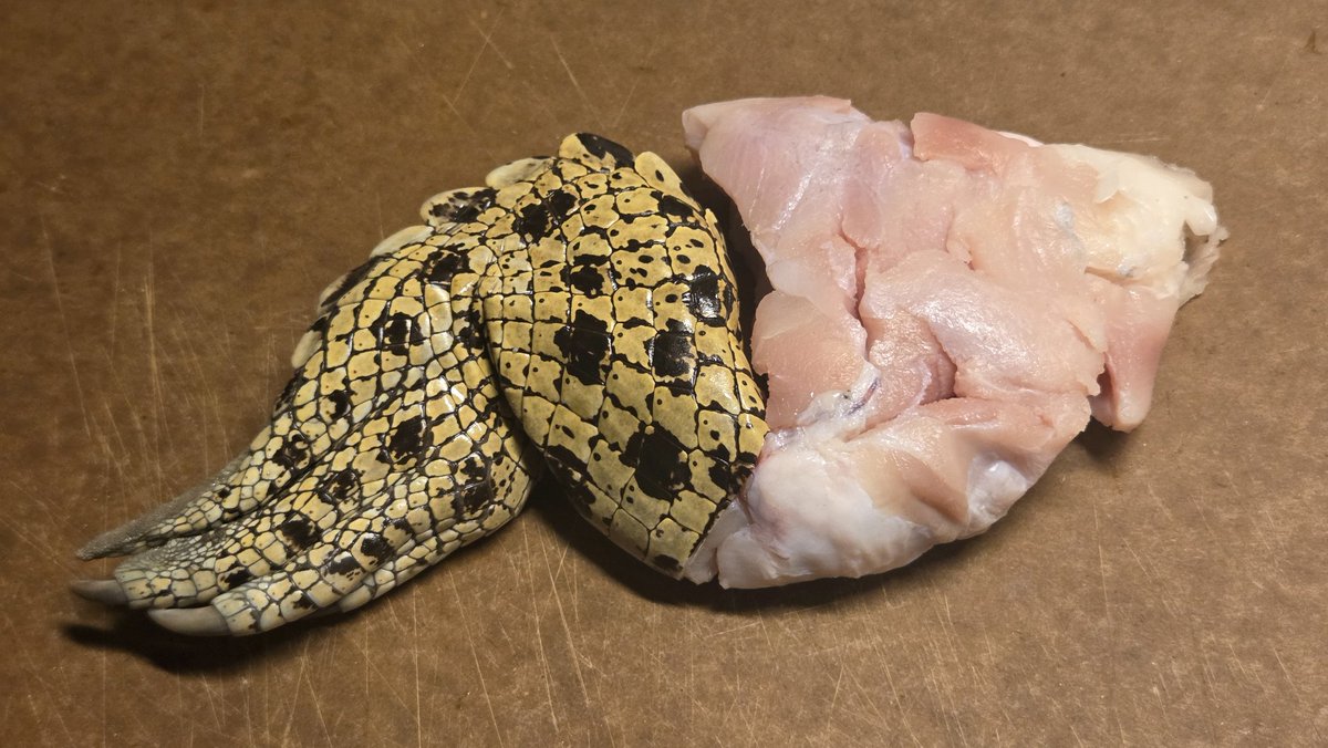 EXITP「パリに咲くエトワールを観よう」 tweet media