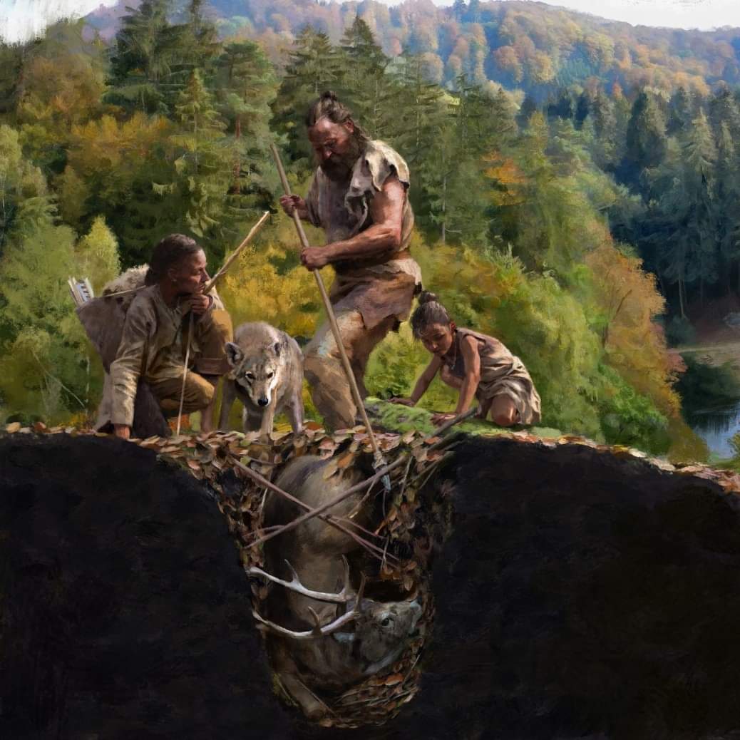 Lippisches Landesmuseum Detmold tweet media