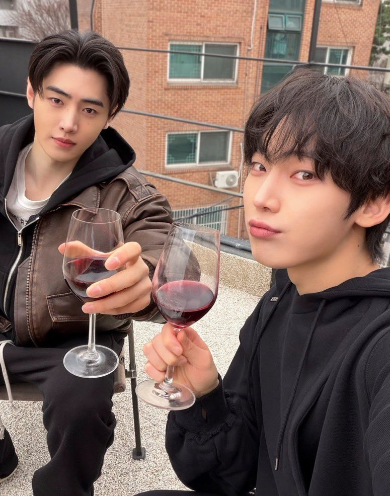 cecilia |`ENHYPEN IS 7 tweet media