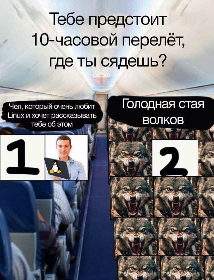 👑🌽Царь кукурузы🌽👑 tweet media