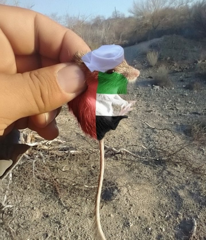 محمد الذبياني tweet media