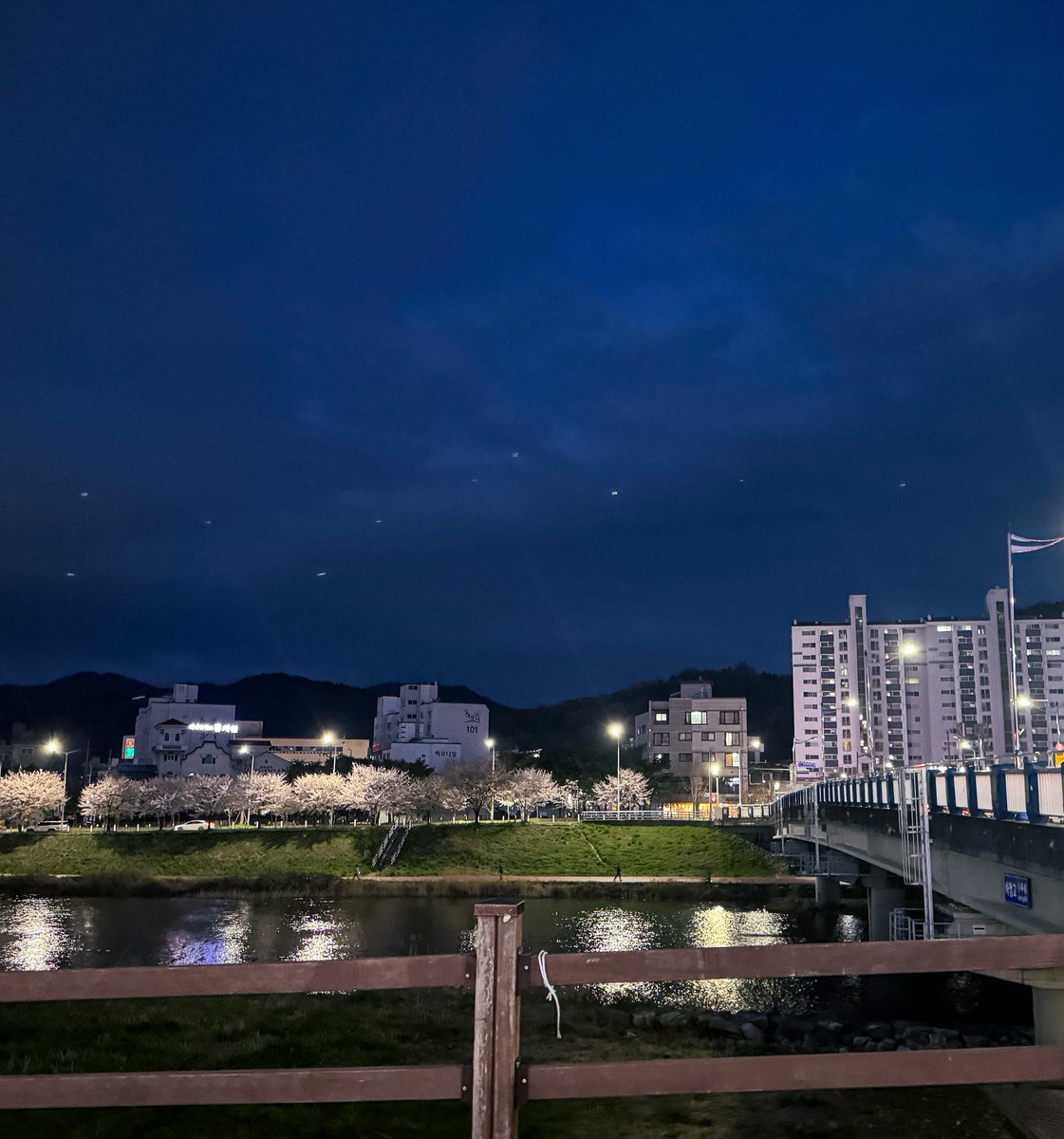 세이 어디야? tweet media