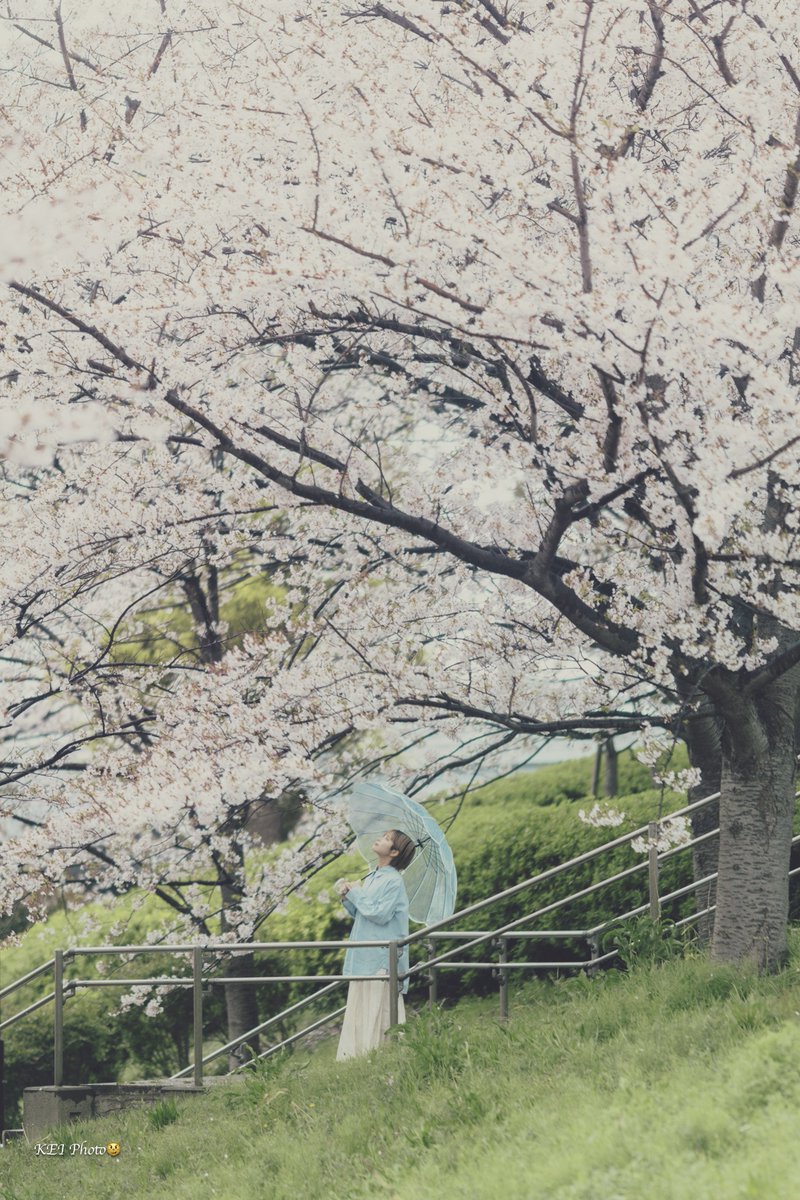 KEI😺 （けいねこまーく） tweet media