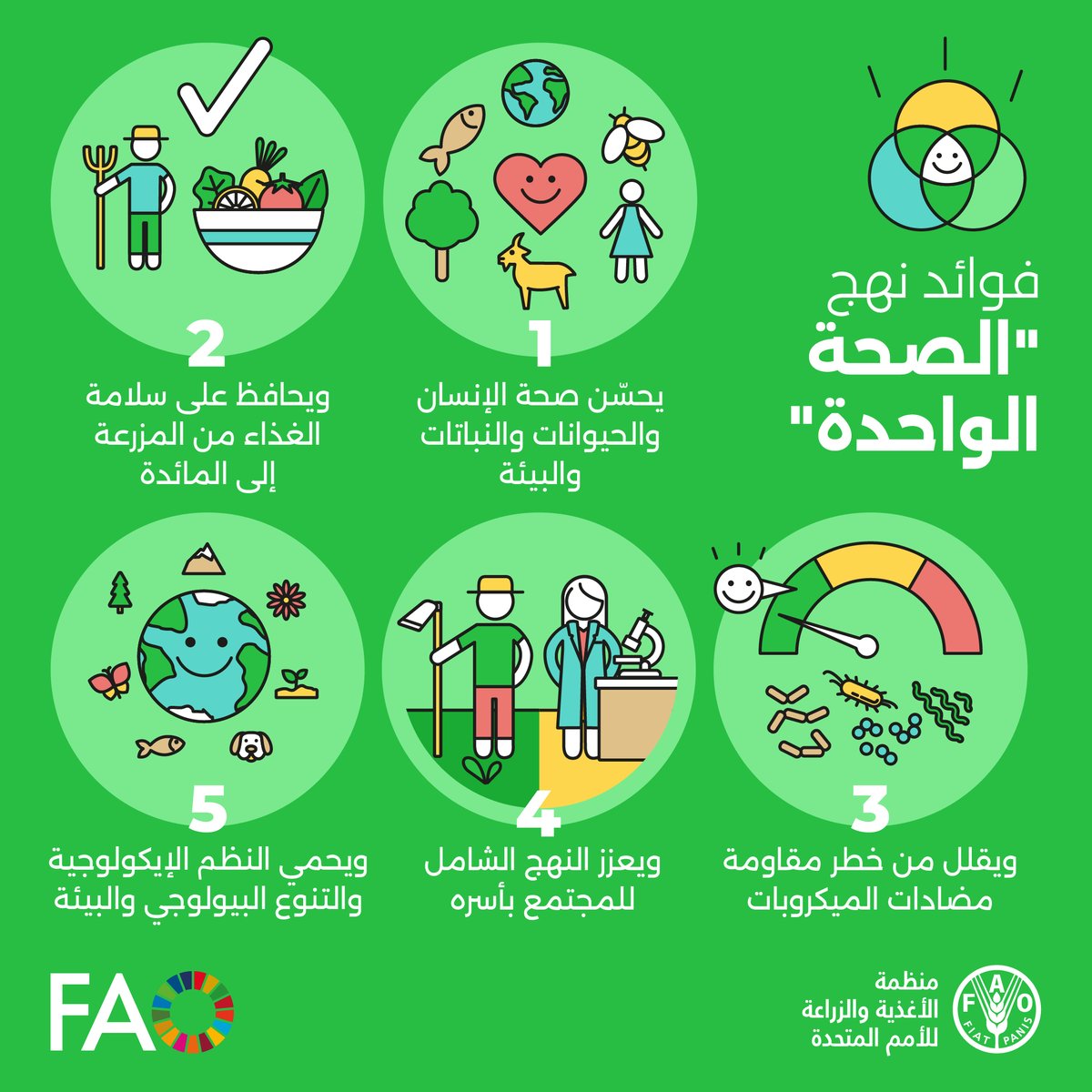 الفاو بالعربي tweet media