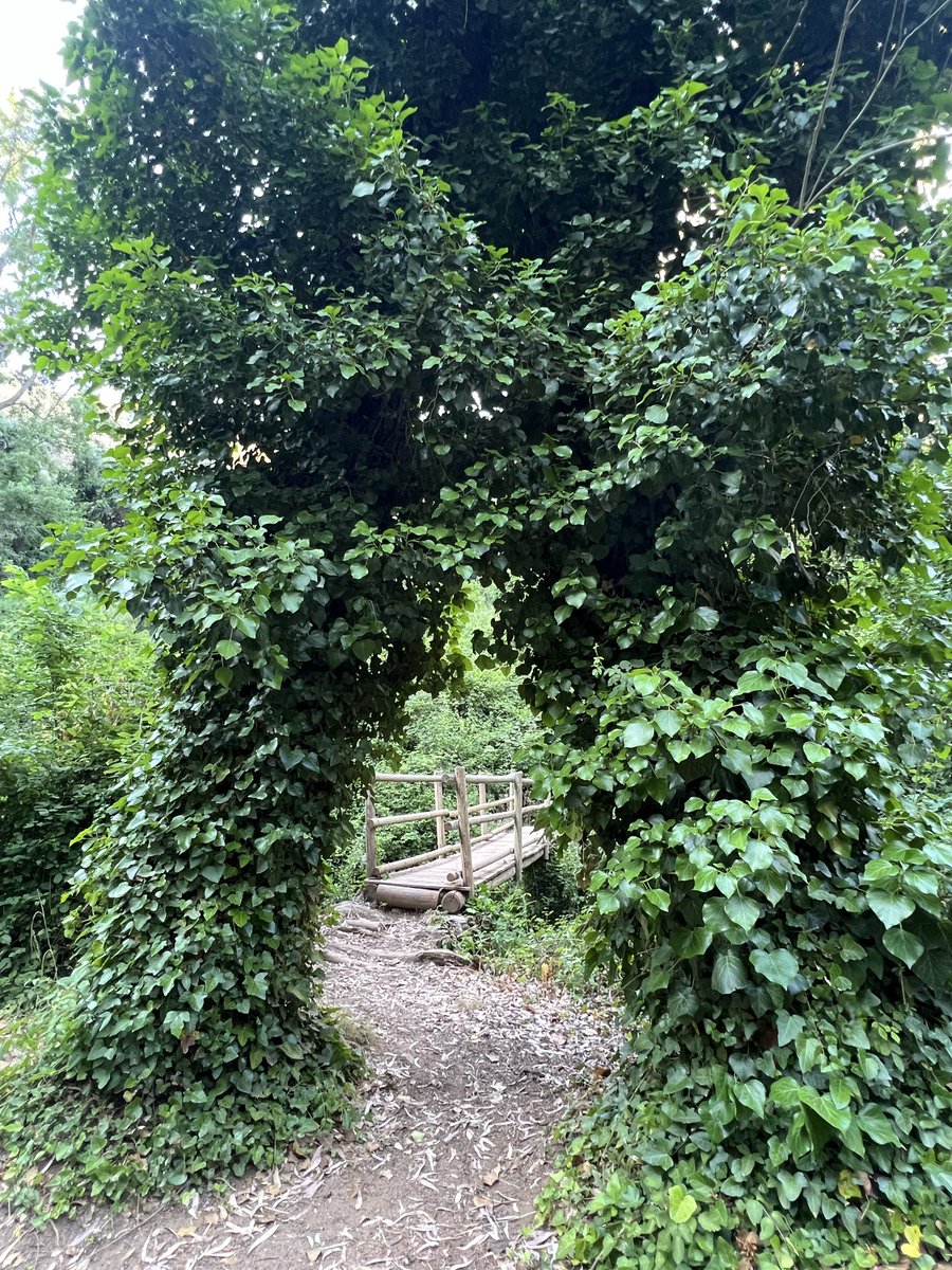 CarmensiArt✨ ⊙⊝⊜ is seeing BTS tweet media