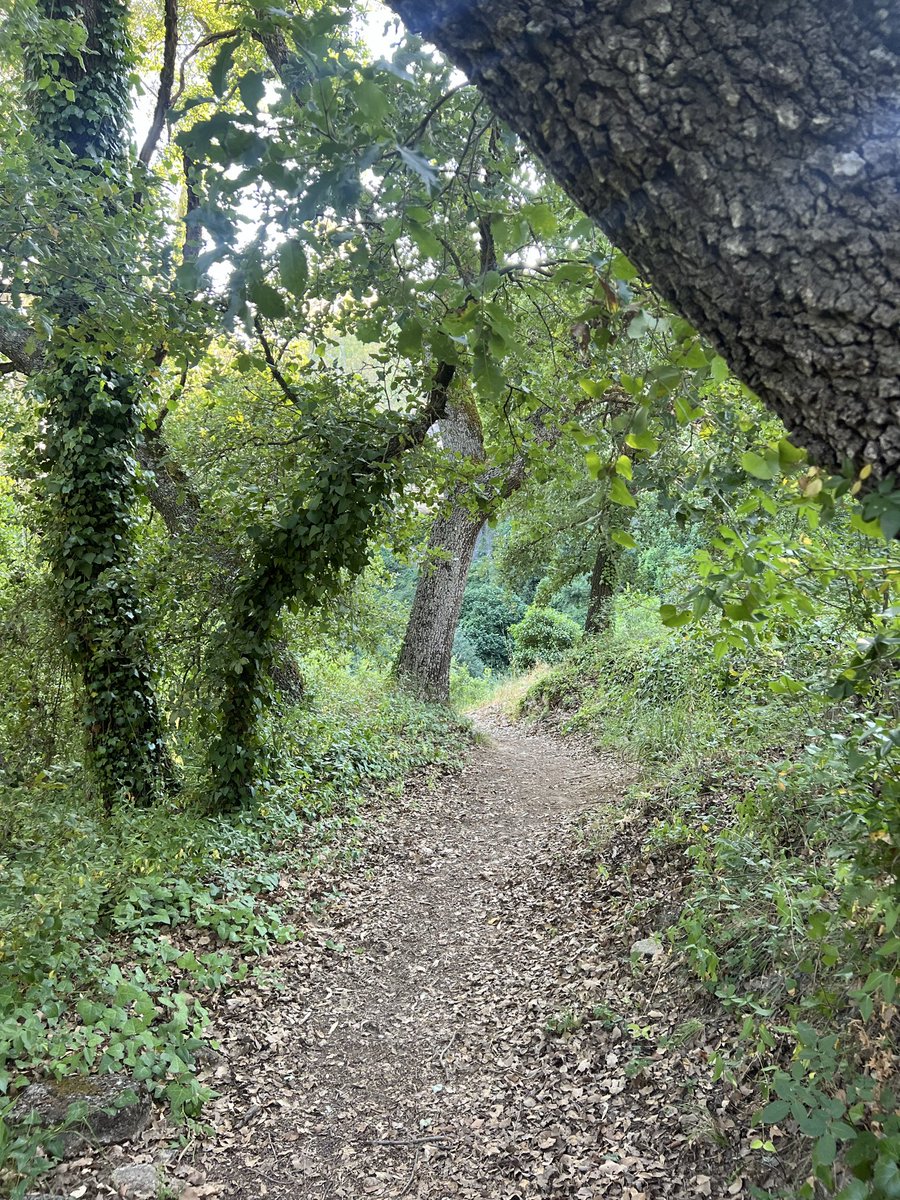 CarmensiArt✨ ⊙⊝⊜ is seeing BTS tweet media