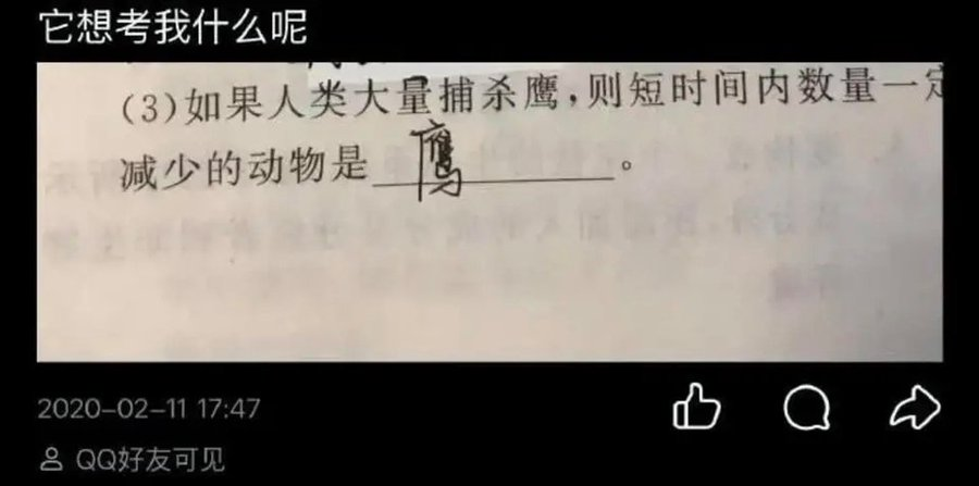BW🕶️黑白 tweet media