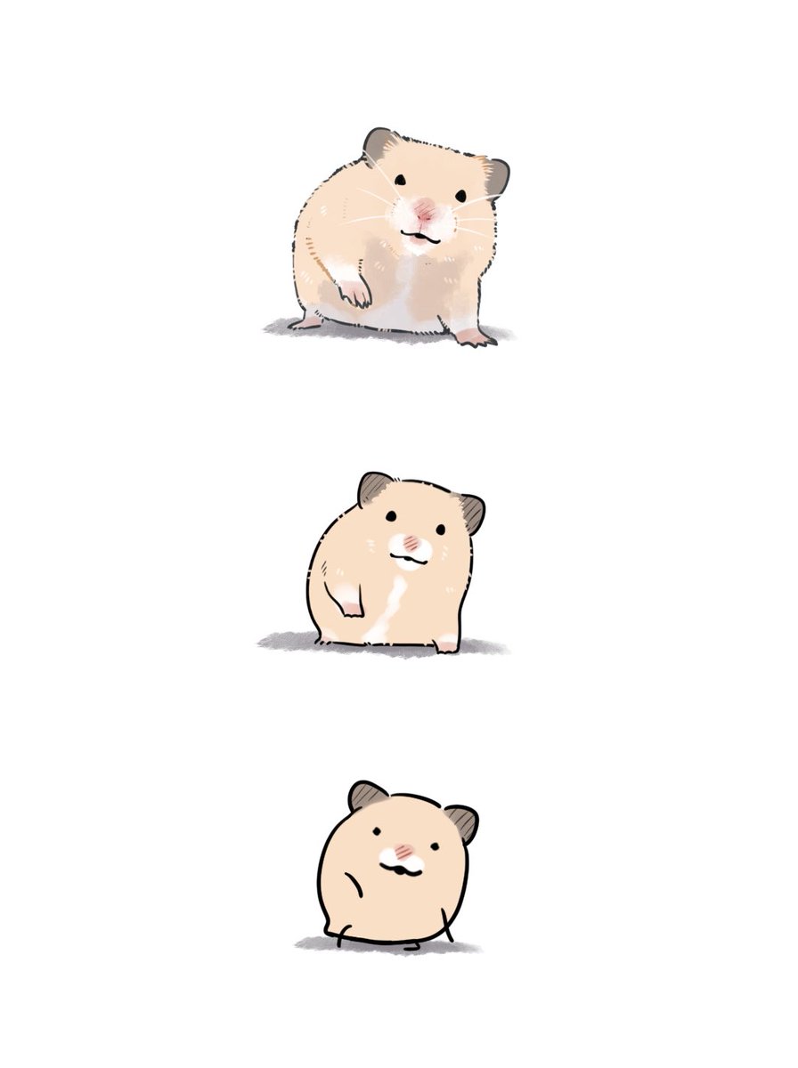 ﾊﾐにやさしく tweet media