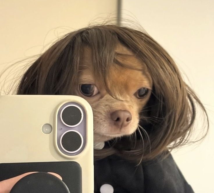 Sammy 💙📊 tweet media