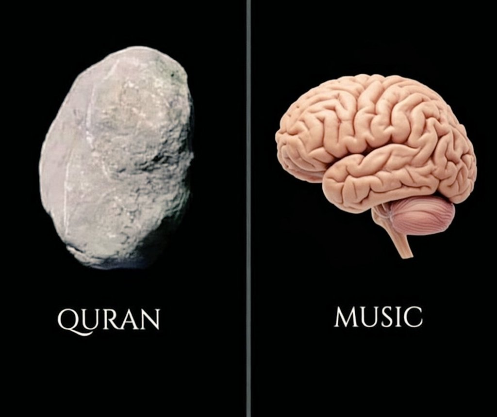 Ex Muslim Afghana tweet media