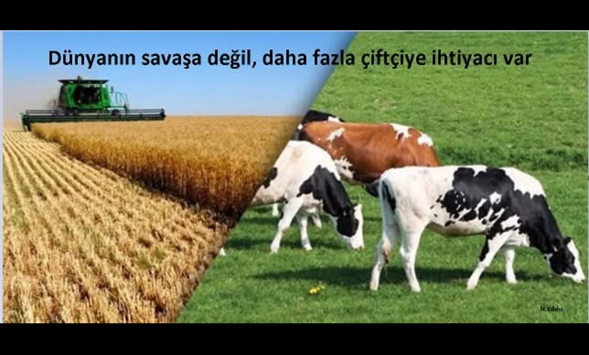 Recep Somuncu tweet media