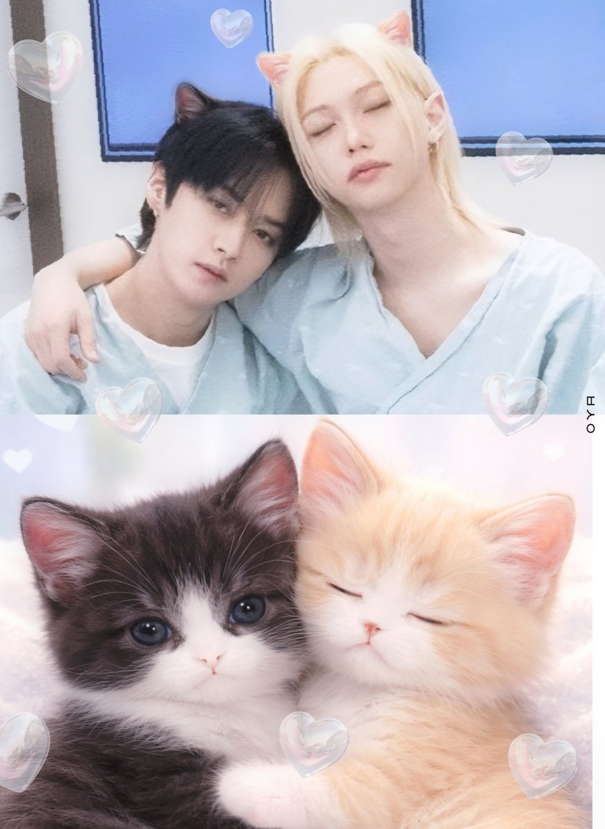 복생이 tweet media