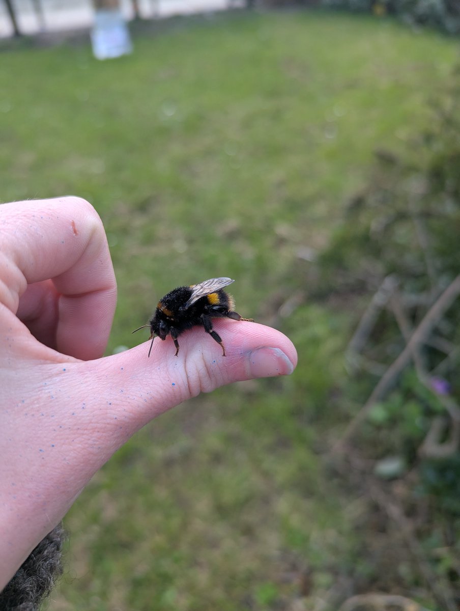 Behold, a (wo)man❤️‍🔥✝︎🏺 tweet media