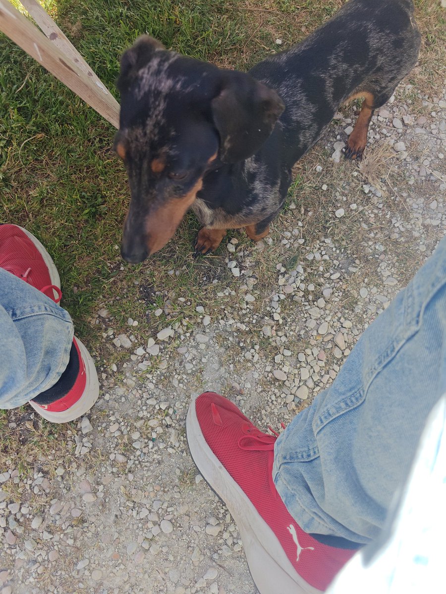 Andrea Vignali tweet media