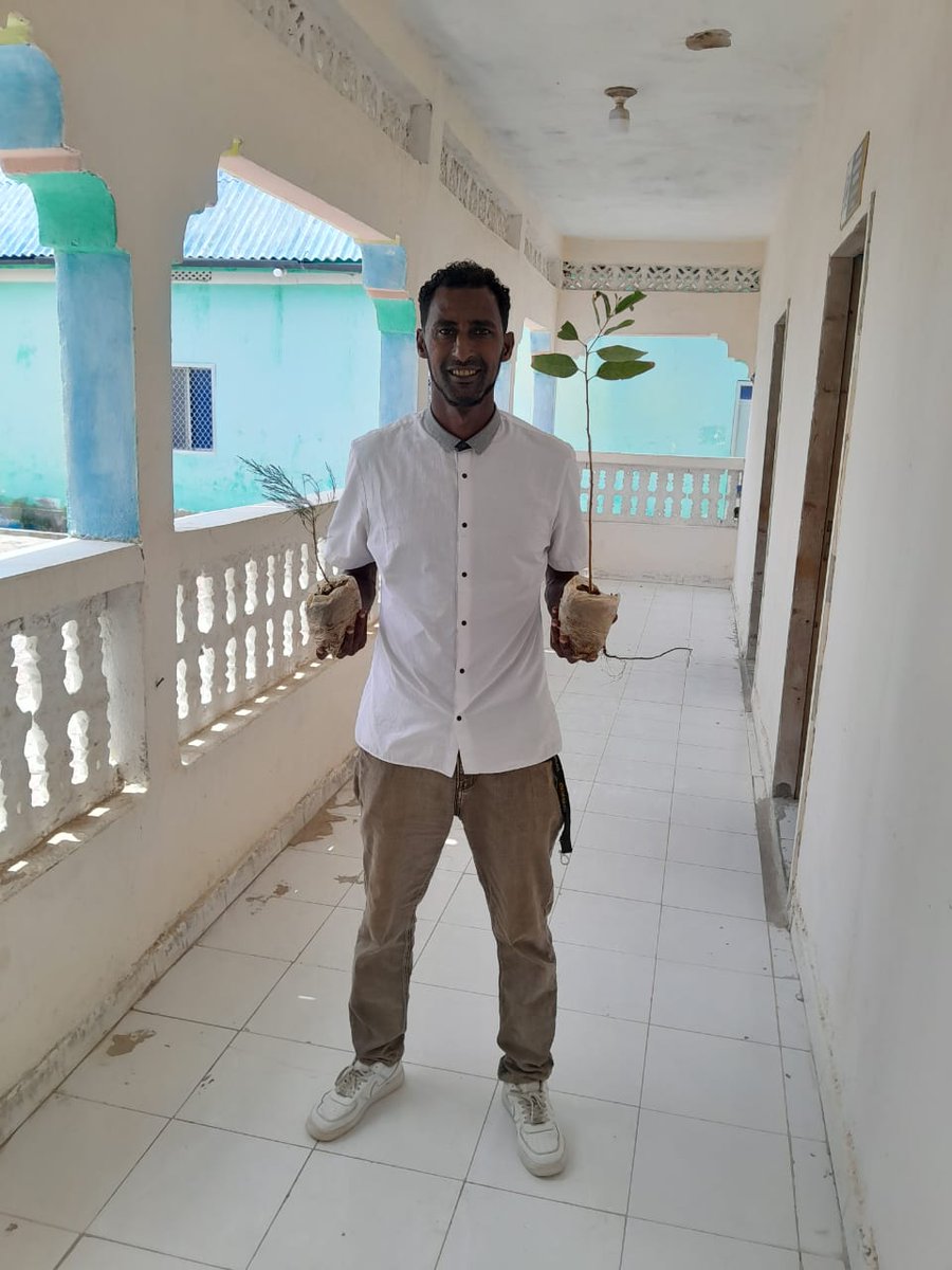 cjafricamag's tweet photo. He first left Somalia for a better life, but home called him to purpose.

Now Ali A Sabrie has planted 10,000 trees and cleaned Hobyo’s beaches, because waiting is not an option.

Click to read full story https://t.co/090Sz5D4ZS

#Somalia #hobyo #climateaction https://t.co/bwY6cIf9NL