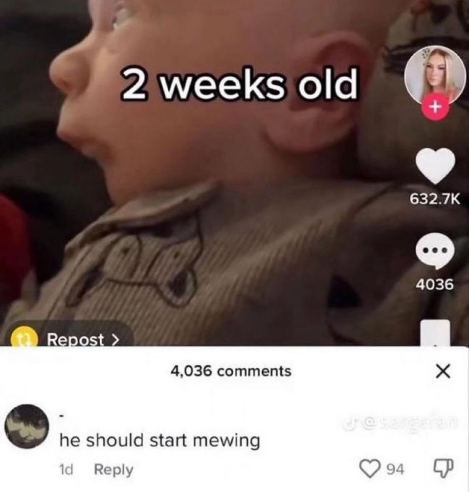 V.I.V.E.K tweet media