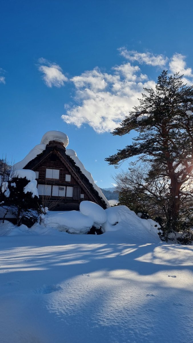 エイダ🌈🫶🎤@オーストラリア tweet media