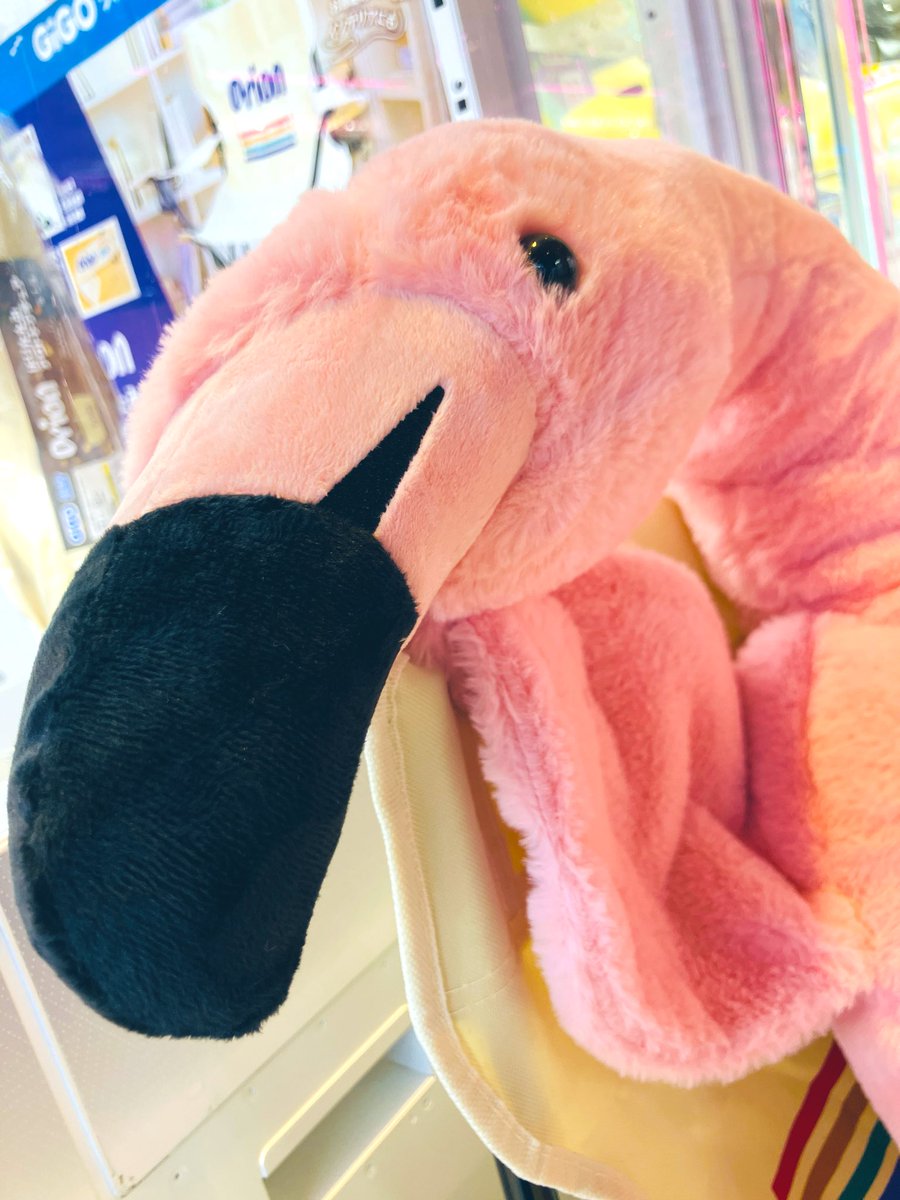.＊ 居眠りフラミンゴ ＊. GiGO限定‼️爆でか！ 寝そべるフラミンゴぬいぐるみ🦩🦩🦩 ＼ デカい