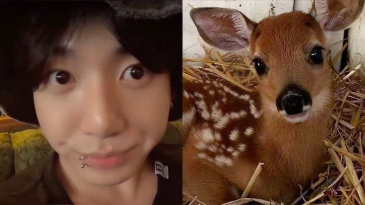 JAEKAY✮ tweet media