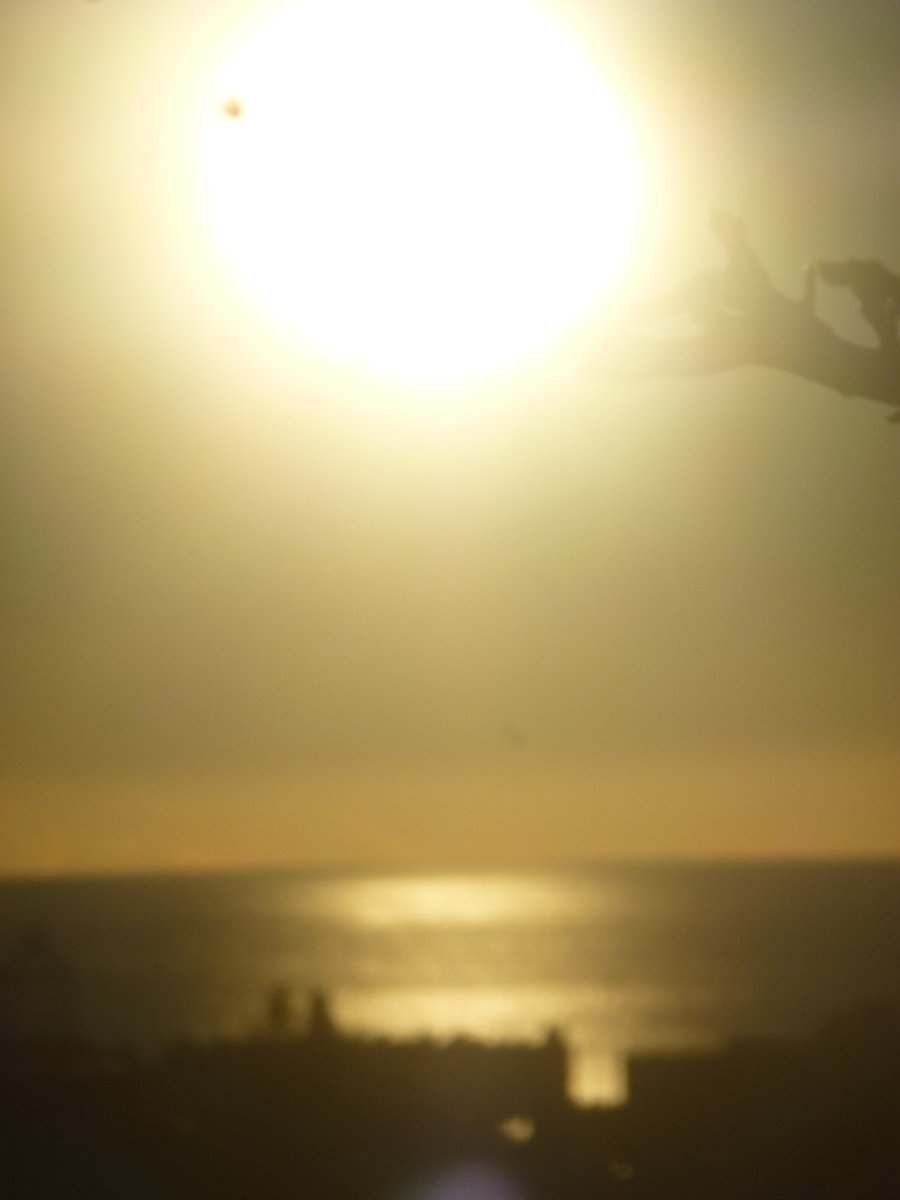 Georgeslepoet tweet media