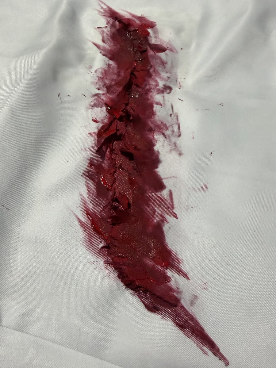 銀ちゃん🦊@ニコ超25／ワフェス26. tweet media