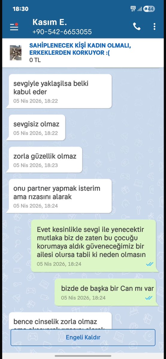 Özlem 🐾 tweet media