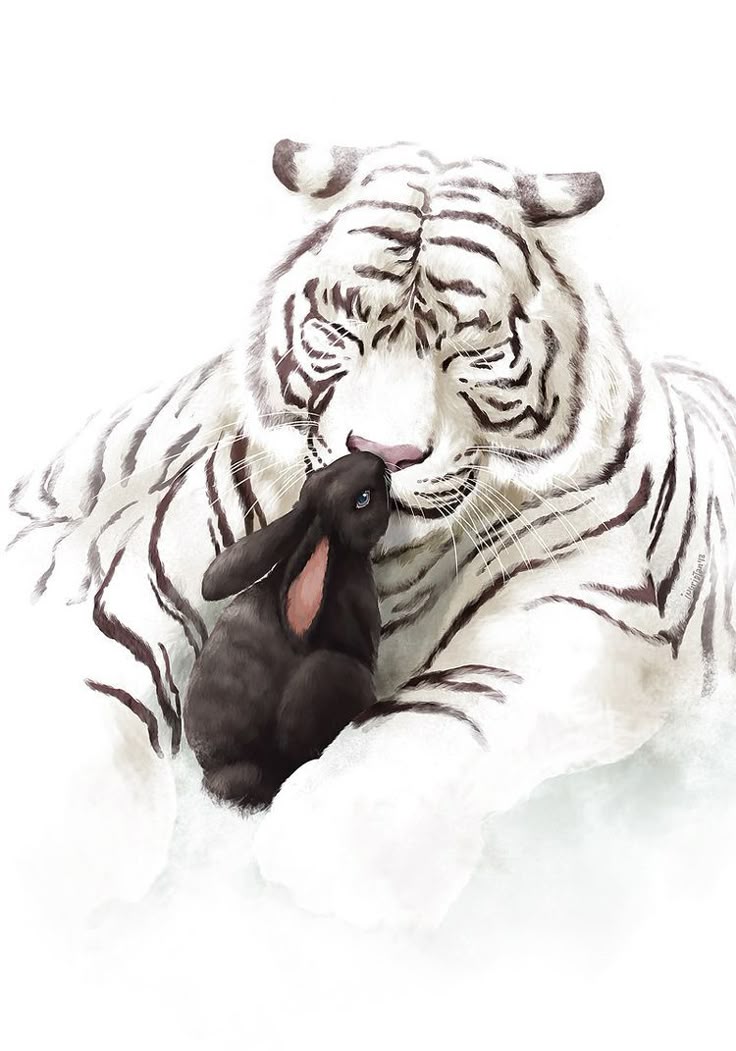 Alpha Male tweet media