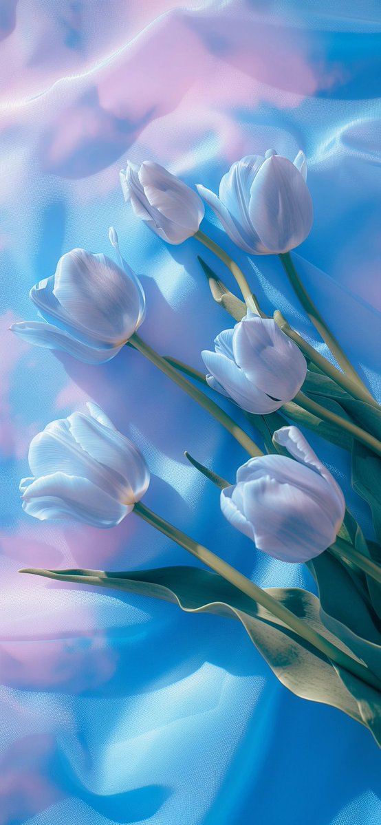 سيسيليا tweet media