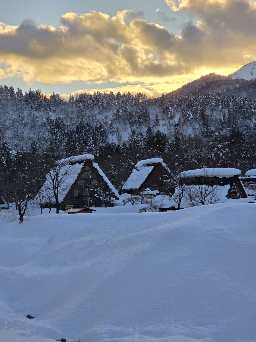エイダ🌈🫶🎤@オーストラリア tweet media