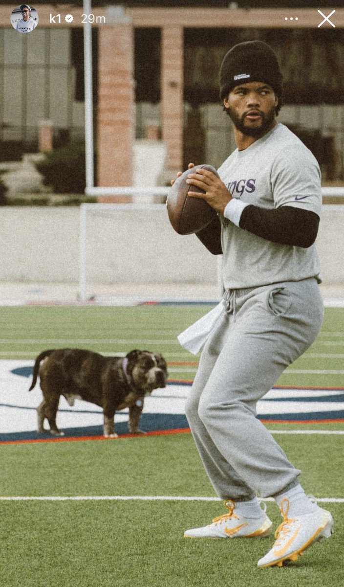 VikingzFanPage tweet media