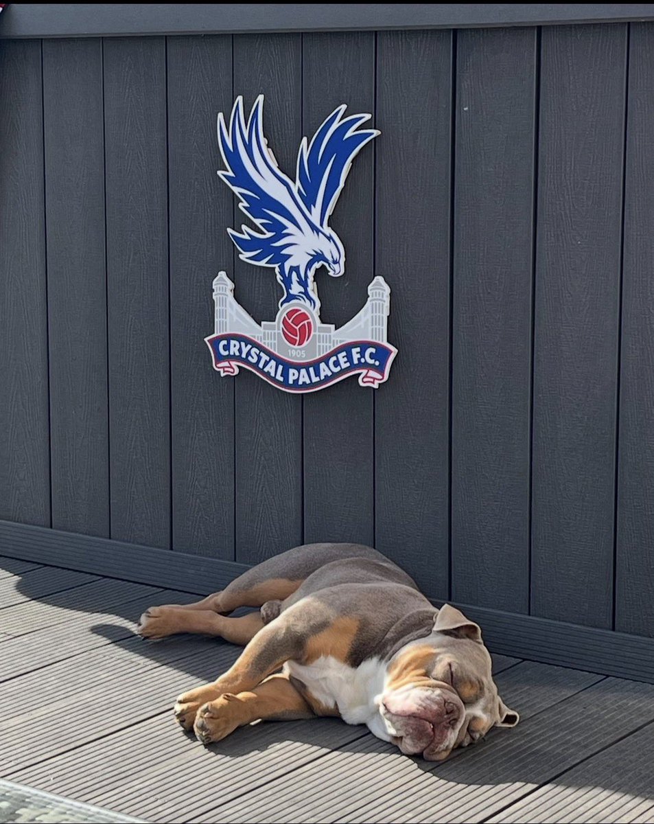 Jason 🦅 tweet media