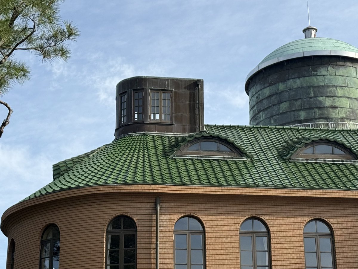 ネロネロさんご tweet media