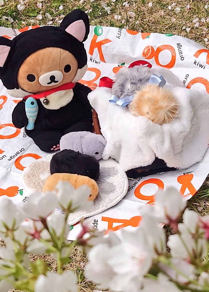 みんなでお花見🌸