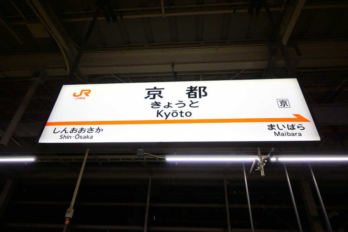 コイ太郎 tweet media