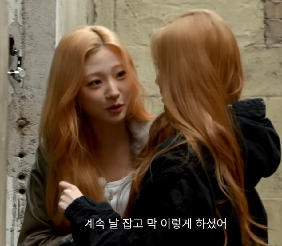 모기 tweet media