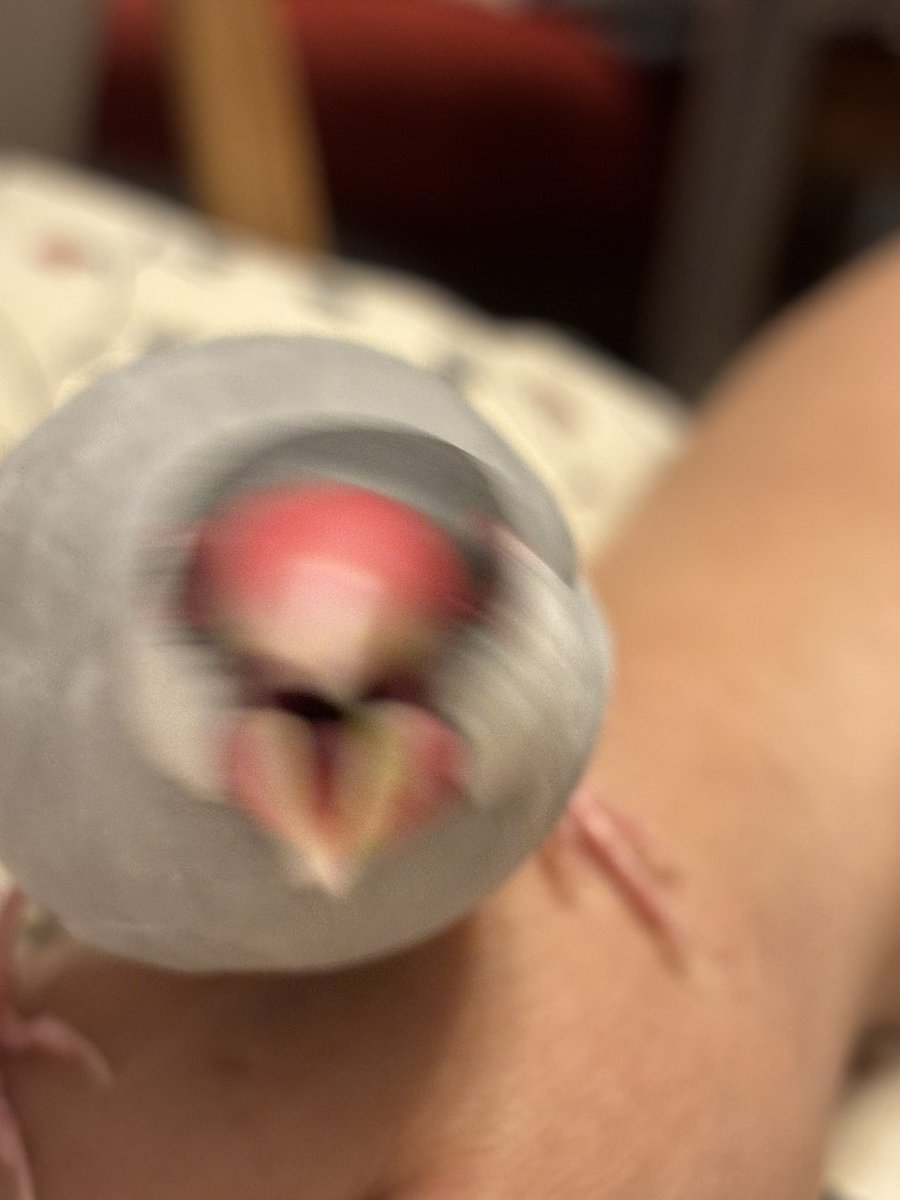 しずく🐈‍⬛ tweet media