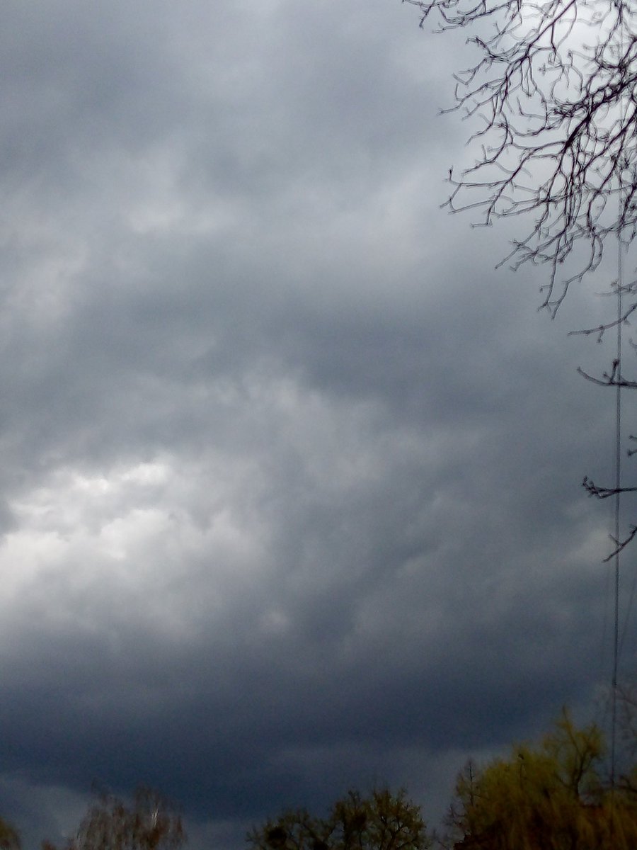 Sukhanov Sviatoslav tweet media