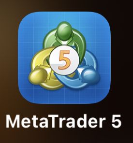 PIP Verse🎇🎇 tweet media