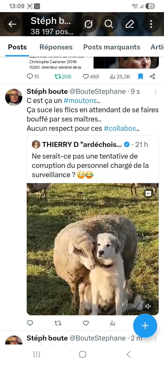 Stéph boute tweet media