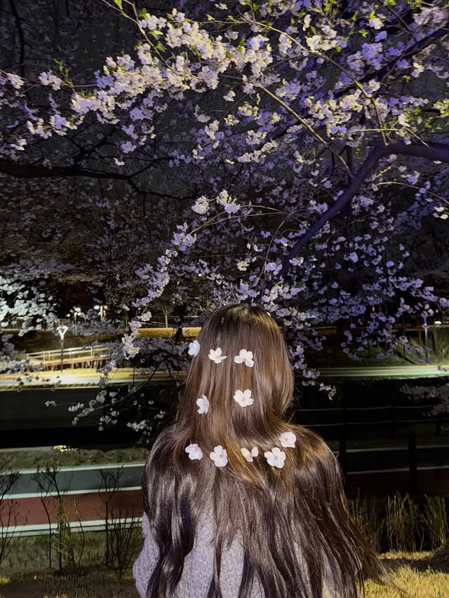 LOONA France 🌙 tweet media