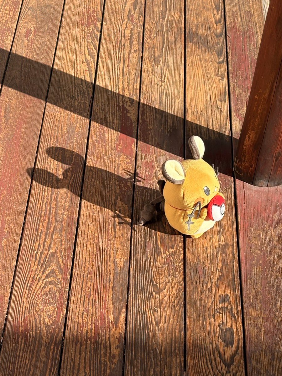 ぼーまんだをたおしたい tweet media