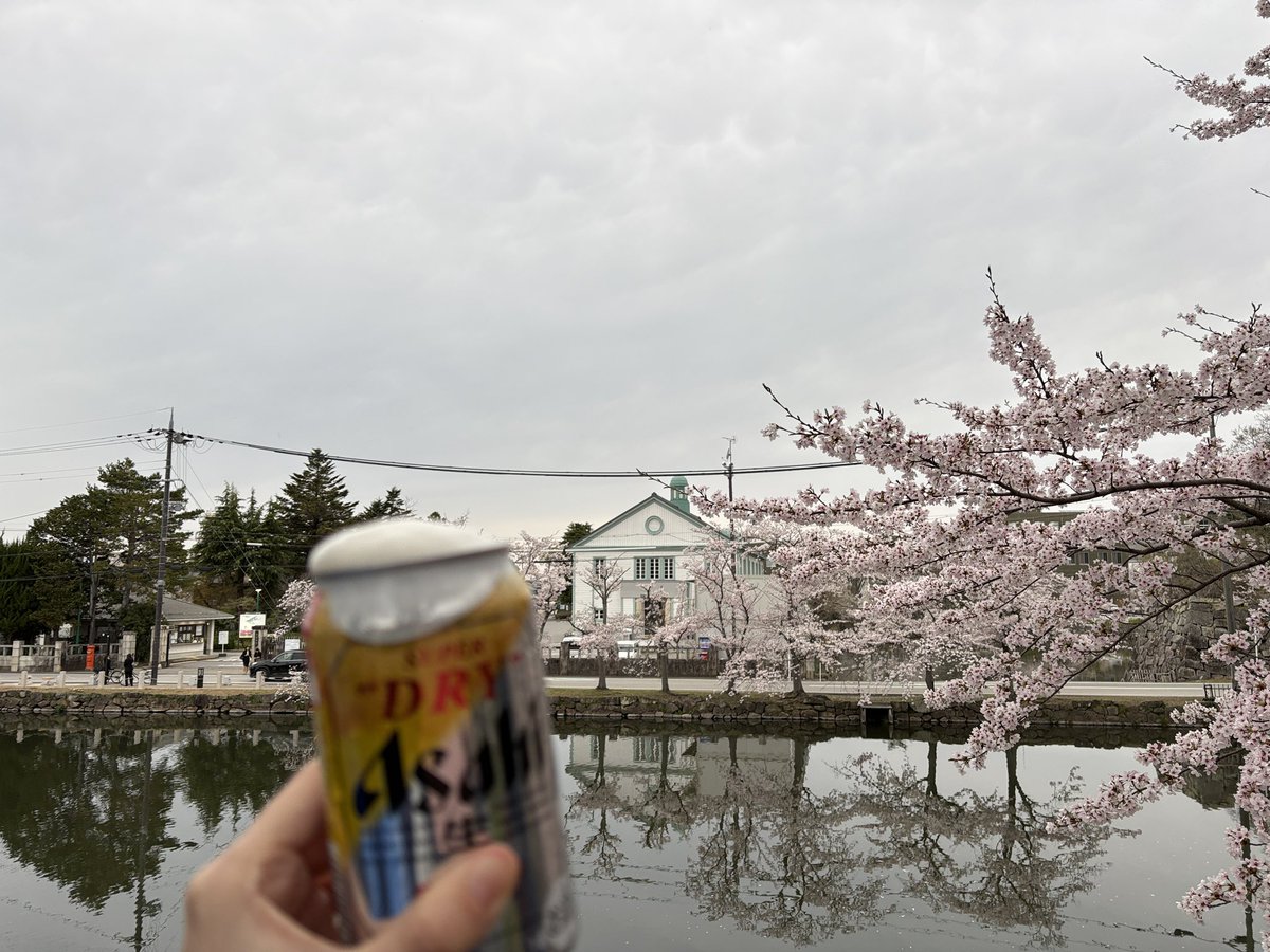 太田智美 / Tomomi Ota tweet media