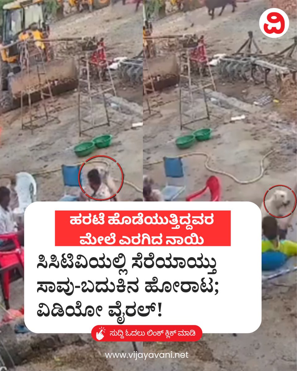 Vijayavani_Digi's tweet image. ಹರಟೆ ಹೊಡೆಯುತ್ತಿದ್ದವರ ಮೇಲೆ ಎರಗಿದ ನಾಯಿ: ಸಿಸಿಟಿವಿಯಲ್ಲಿ ಸೆರೆಯಾಯ್ತು ಸಾವು-ಬದುಕಿನ ಹೋರಾಟ; ವಿಡಿಯೋ ವೈರಲ್​! Viral Video
#DogAttack #ViralVideo #CCTV #PublicSafety #Rabies #StrayDog #SocialMediaViral #Trending #KannadaNews #VijayavaniNews
vijayavani.net/category/natio…